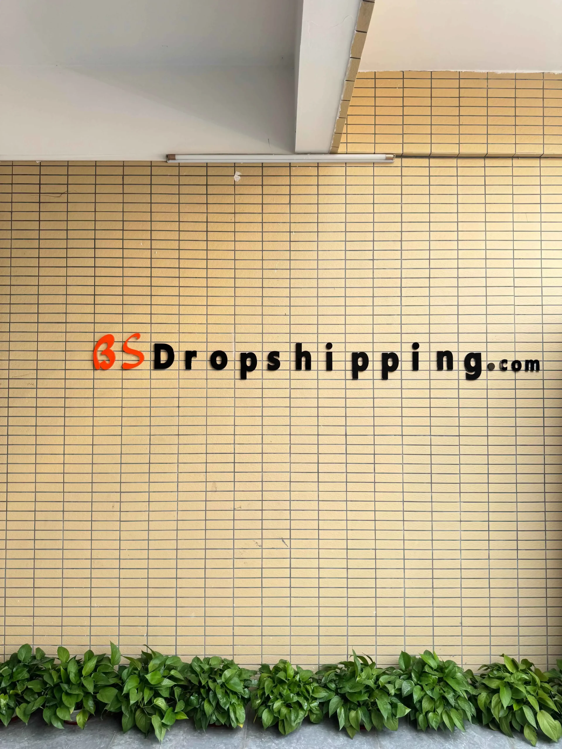 BSdropshipping Warehouse Dongguan City